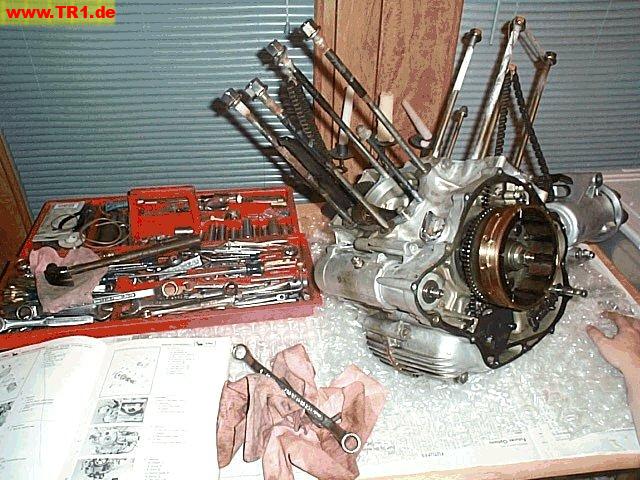 Virago