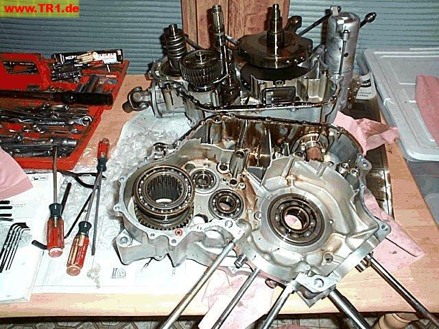 Virago