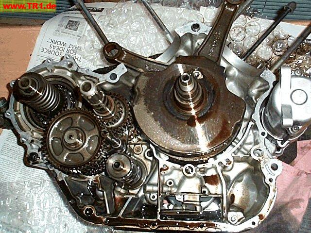 Virago