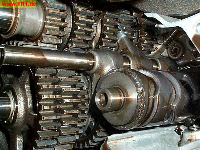 Virago